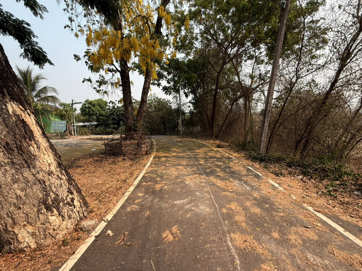 รูป ขายที่ดิน 2 ไร่ 79 ตารางวา ติดถนนสาธารณะประโยชน์ในหมู่บ้าน ใกล้แหล่งสำคัญๆมากมาย - รูปที่ 7/18