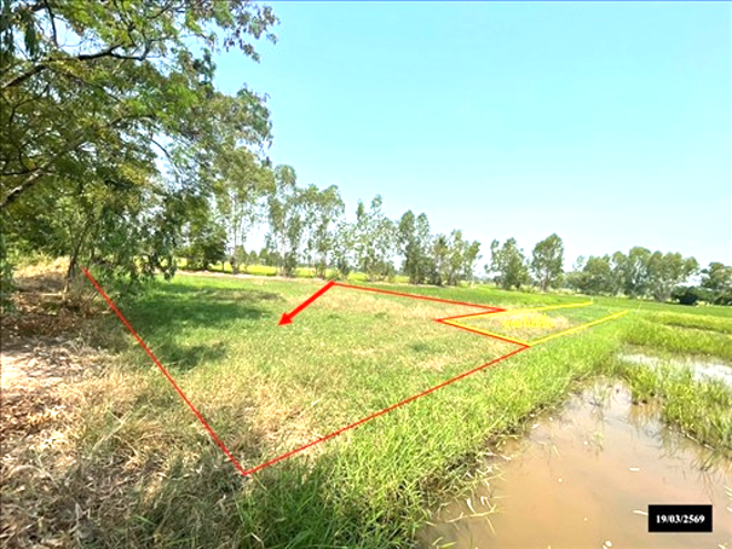 รูป ที่ดินว่างเปล่า 155 ตร.วา เมืองสกลนคร สกลนคร 675,000 - รูปที่ 1/14
