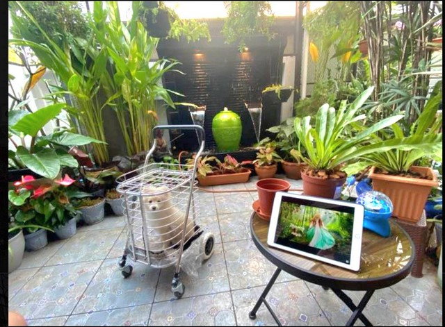 รูป ทาวน์เฮ้าส์2ชั้น ขายด่วน! ทำเลดีย่านนวมินทร์ ติดกับโลตัส ใกล้ตลาดปัฐวิกรณ์ - รูปที่ 3/8