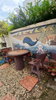 listing thumbnail image 5