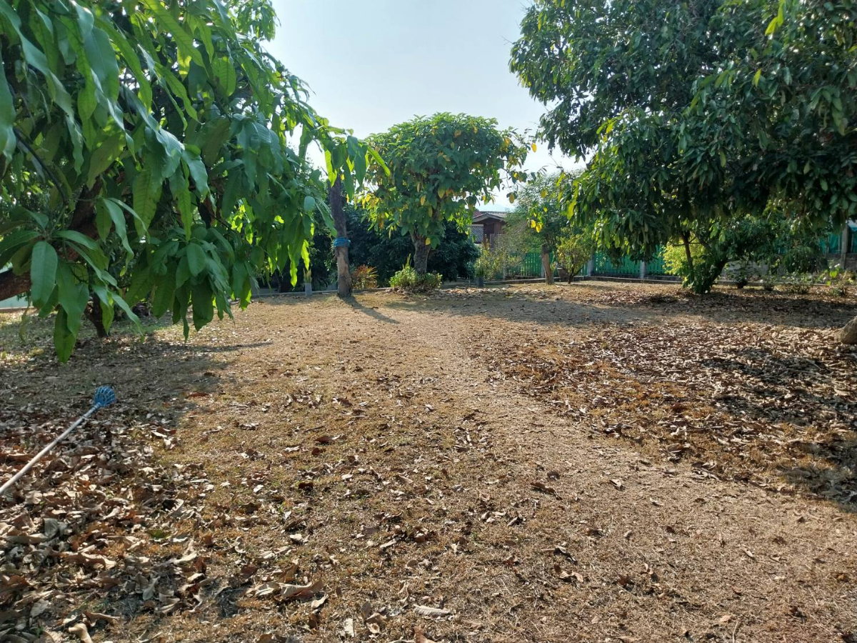 รูป ขายบ้านเชียงใหม่ บ้านพร้อมที่ดิน ทำเลดี วิวสวย บรรยากาศธรรมชาติ จังหวัดเชียงใหม่  - รูปที่ 8/20