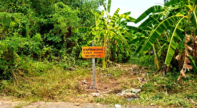 ที่ดิน สถานีขนส่งหนองคาย : ขายที่ดิน 106 ตรว. ต.โพธิ์ชัย อ.เมืองหนองคาย ใกล้โรงเรียนปทุมเทพวิทยาคาร 