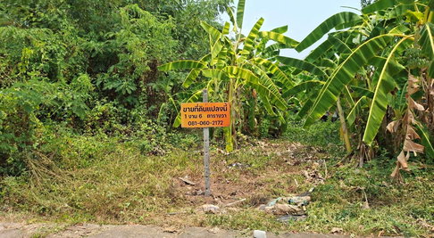 ขายที่ดิน 106 ตรว. ต.โพธิ์ชัย อ.เมืองหนองคาย ใกล้โรงเรียนปทุมเทพวิทยาคาร 