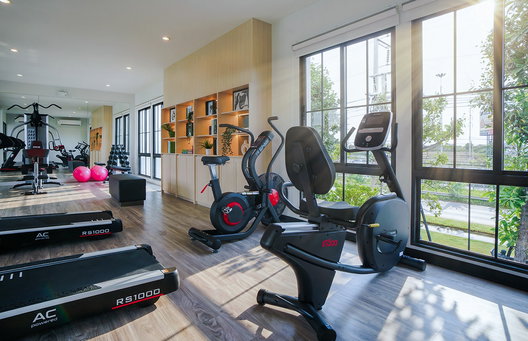 Project iconature Wongwaen - Lamlukka Picture - 4/11