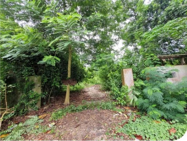 รูป BP00496 ขายโรงงาน ตำบล หมอนนาง อำเภอ พนัสนิคม จังหวัด ชลบุรี - รูปที่ 4/8