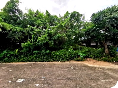 Land for sale  Sappasitthiprasong Hospital : FOR SALE  LAND PROPERTY  2451000 BAHT.