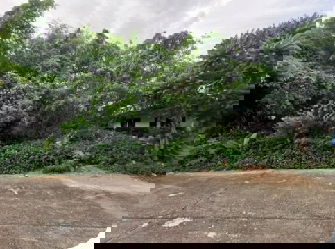 BP00869 ขายที่ดินเปล่า ตำบล ในเมือง อำเภอ เมืองอุบลราชธานี จังหวัด อุบลราชธานี