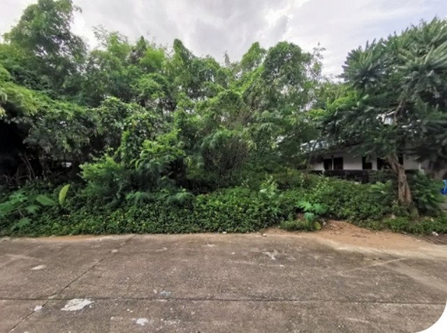 รูป BP00869 ขายที่ดินเปล่า ตำบล ในเมือง อำเภอ เมืองอุบลราชธานี จังหวัด อุบลราชธานี - รูปที่ 1/8