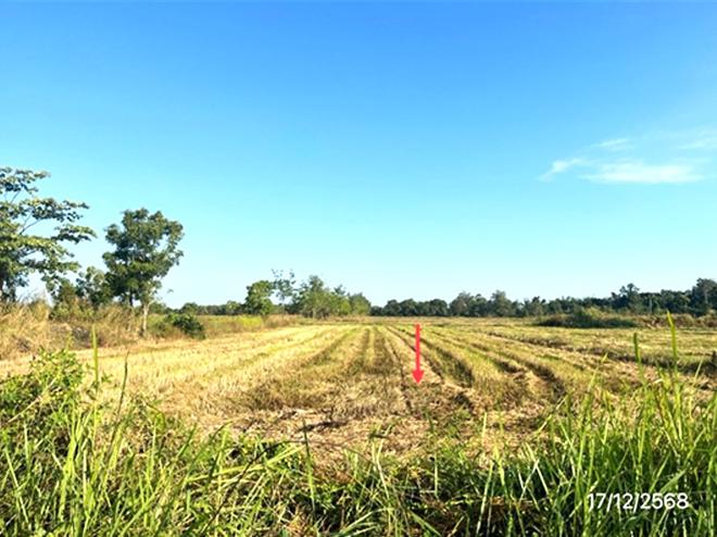 รูป ที่ดินว่างเปล่า 12171 ตร.วา เมืองสุโขทัย สุโขทัย 9.1M - รูปที่ 9/24