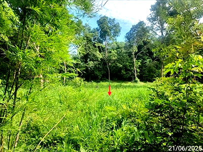 Land for sale Roi Et : LAND 277.4 Sq.w. Muang Sruang Roi Et for 555,000