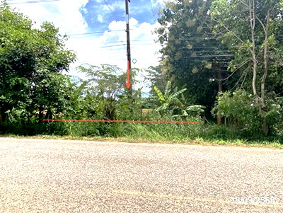 ที่ดินว่างเปล่า 1400 ตร.วา สหัสขันธ์ กาฬสินธุ์ 1.8M