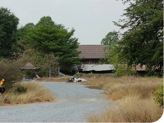 รูป BB12589 ขายโกดัง หมู่ที่ 8 ตำบล บ้านโพธิ์ อำเภอ เมืองสุพรรณบุรี จังหวัด สุพรรณบุรี - รูปที่ 8/8