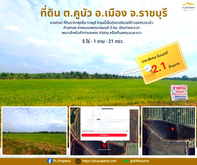 ที่ดิน เมืองราชบุรี ราชบุรี : 🔥 ขายด่วน! ที่ดินราคาสุดคุ้ม 5 ไร่ 1 งาน ต.คูบัว อ.เมือง จ.ราชบุรี เจ้าของขายเอง