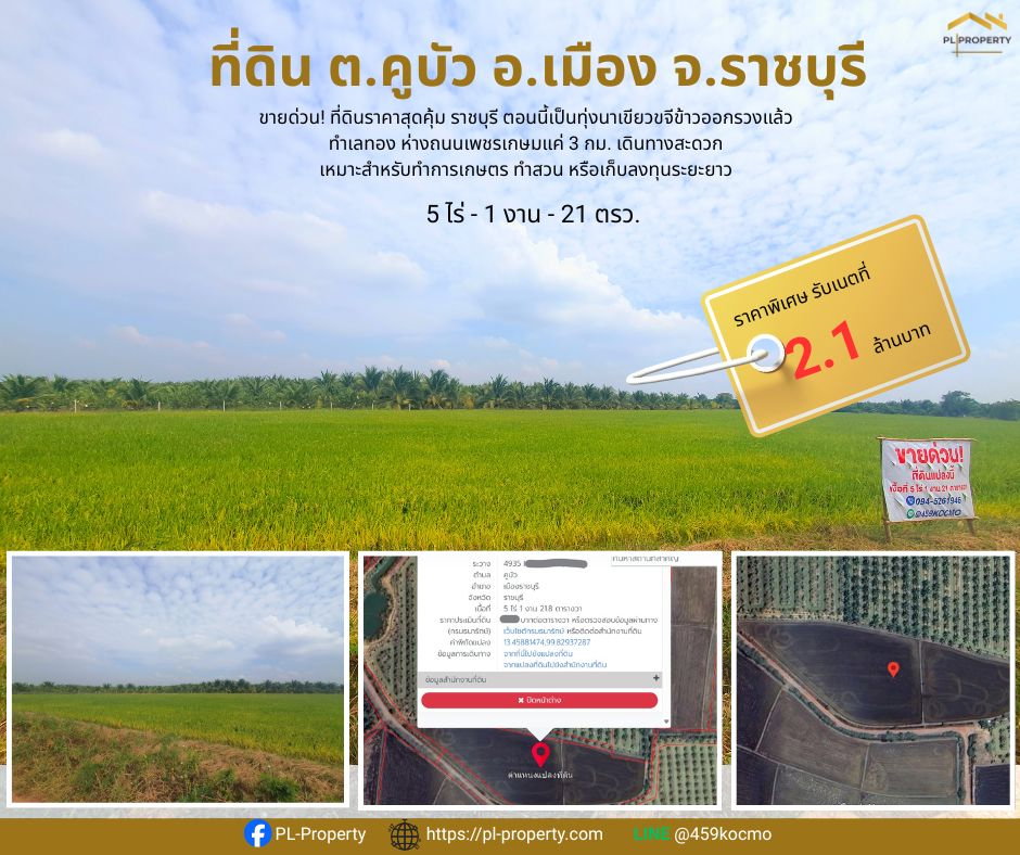 รูป 🔥 ขายด่วน! ที่ดินราคาสุดคุ้ม 5 ไร่ 1 งาน ต.คูบัว อ.เมือง จ.ราชบุรี เจ้าของขายเอง - รูปที่ 1/6
