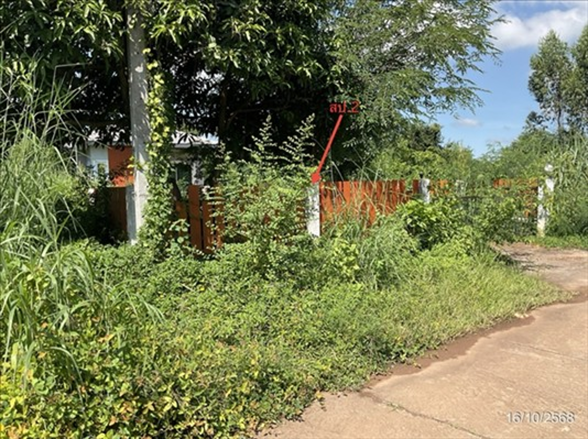 รูป บ้านเดี่ยว 120 ตร.วา ศรีมหาโพธิ ปราจีนบุรี 2.6M - รูปที่ 9/14