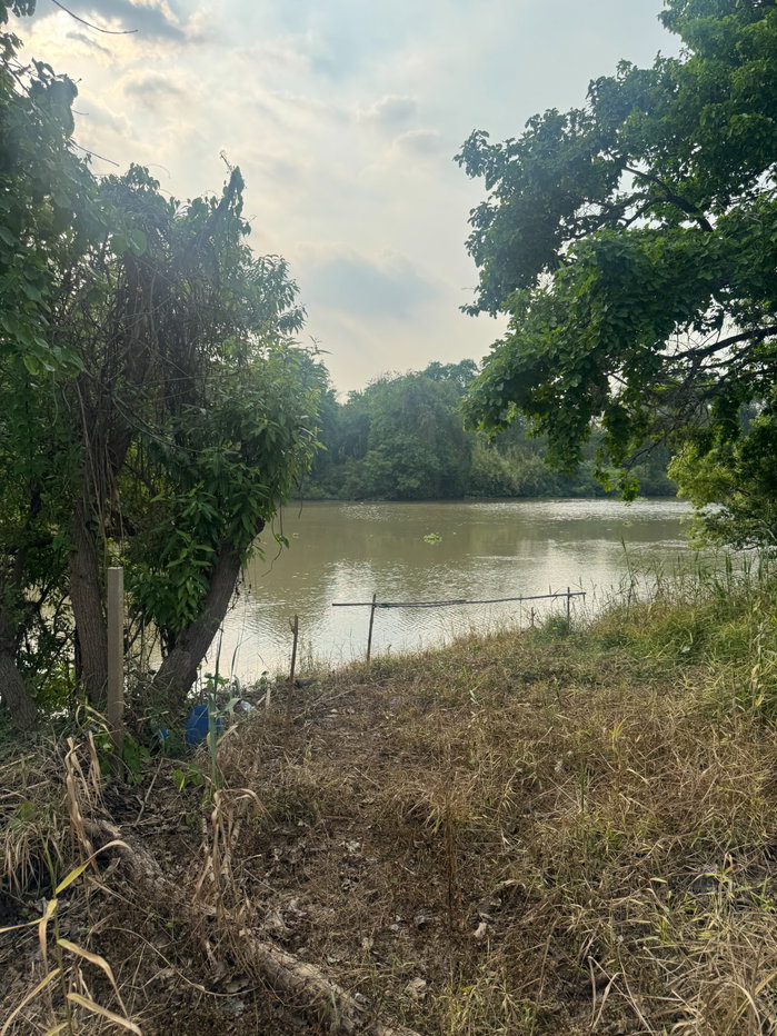 picture Land for Sale – Road Frontage & Riverfront View at Ayutthaya province  - 8/10