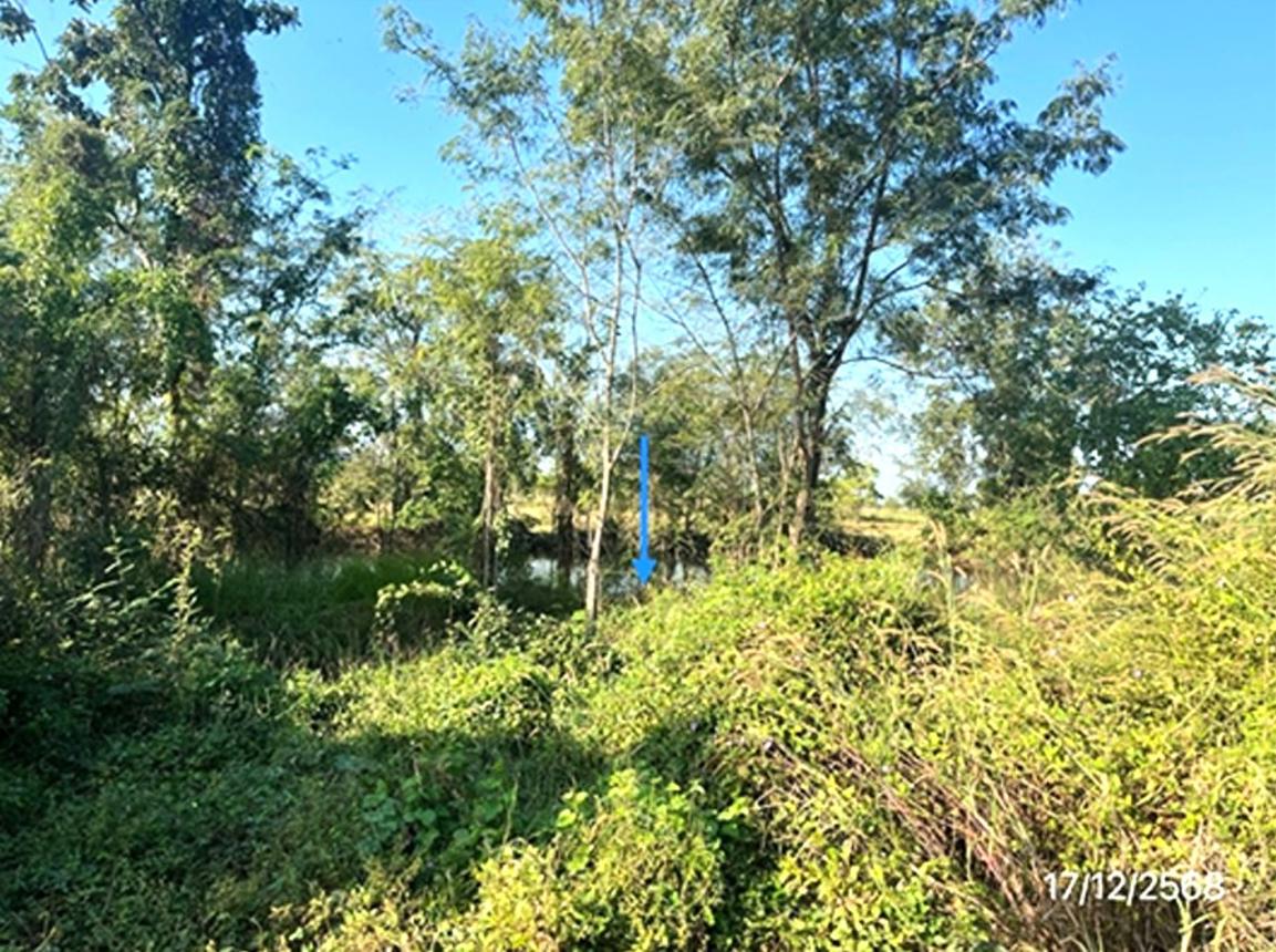 รูป ที่ดินว่างเปล่า 12171 ตร.วา เมืองสุโขทัย สุโขทัย 9.1M - รูปที่ 20/24