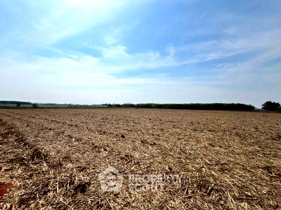 Land for sale Nong Yai Chonburi : 62,300 m² Land for Sale in Hang Sung (ID 2817007)