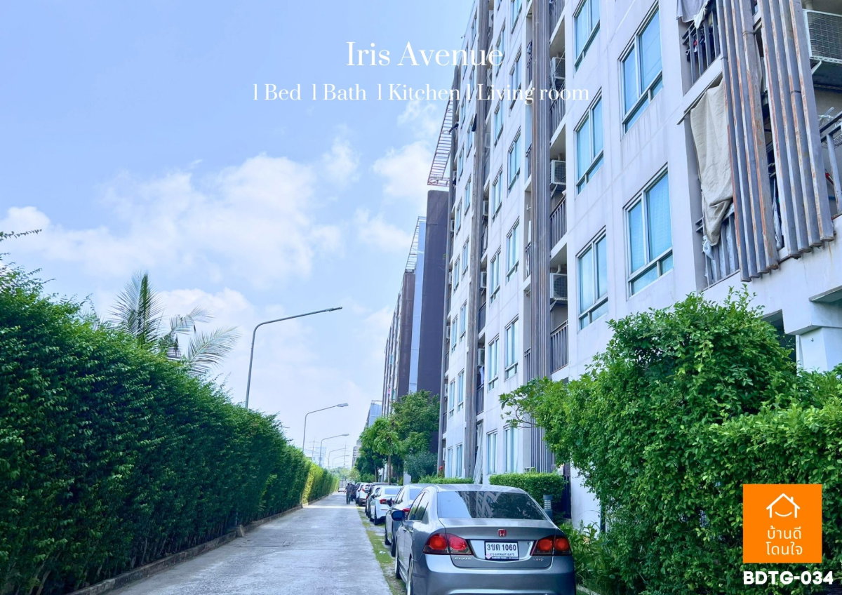 รูป ขายห้องมุม 🔥คอนโด ไอริส แอเวนิว 🔥ใกล้สุวรรณภูมิ นิคมอุตสาหกรรม พร้อมอยู่เอง และ ลงทุน ทัก @sariproperty 082-558-9459 - รูปที่ 18/18
