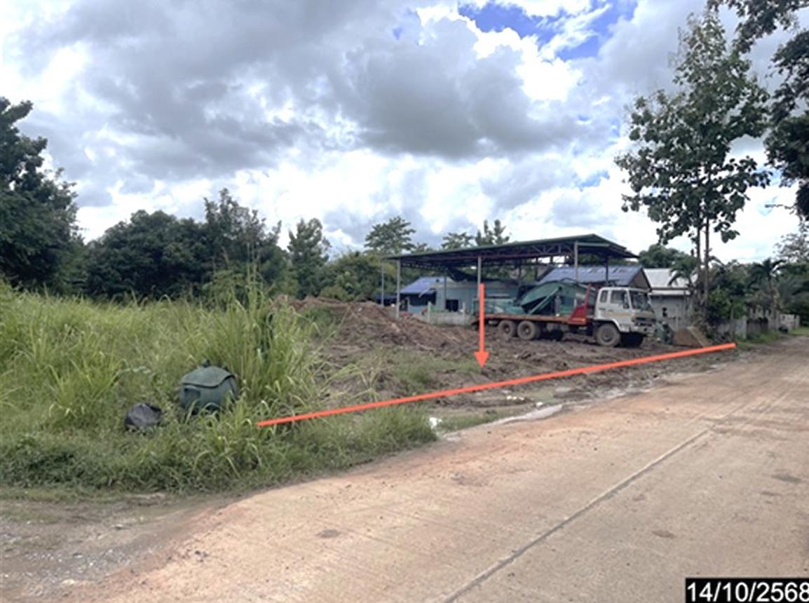 รูป ที่ดินว่างเปล่า 317 ตร.วา ภูเขียว ชัยภูมิ 999,000 - รูปที่ 9/16