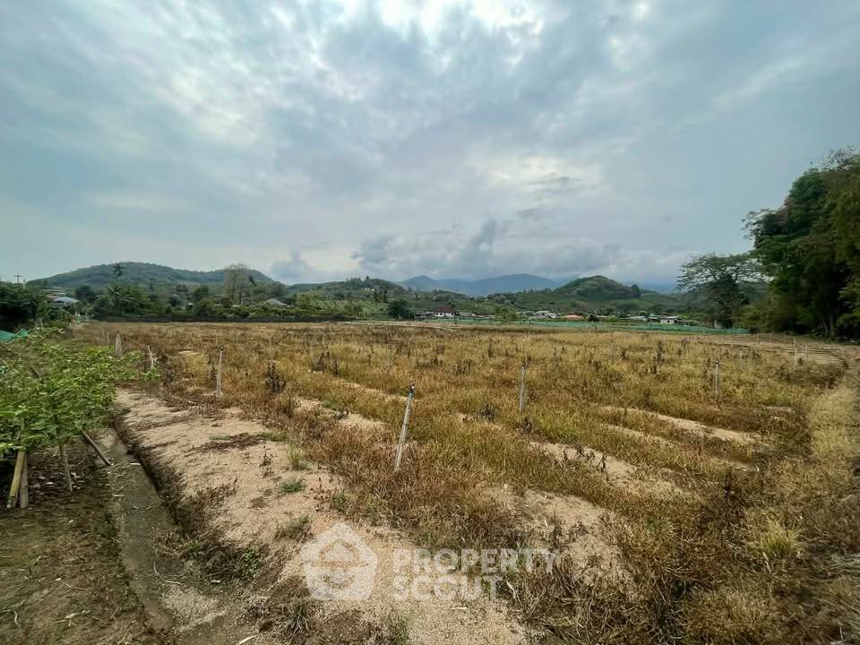รูป ที่ดินสำหรับปล่อยขาย 9,600 ตารางเมตร แถว ใน ม่อนปิ่น (ID 2813456) - รูปที่ 1/9