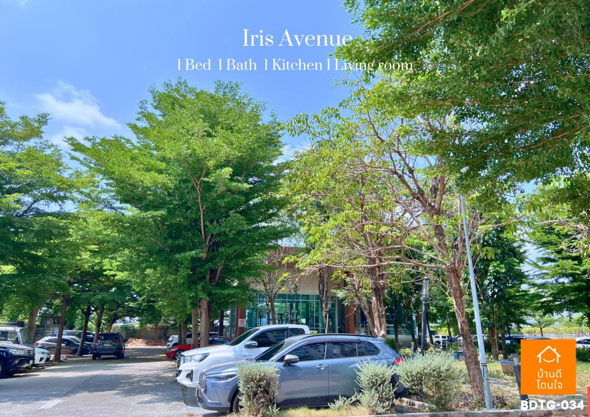 รูป ขายห้องมุม 🔥คอนโด ไอริส แอเวนิว 🔥ใกล้สุวรรณภูมิ นิคมอุตสาหกรรม พร้อมอยู่เอง และ ลงทุน ทัก @sariproperty 082-558-9459 - รูปที่ 17/18