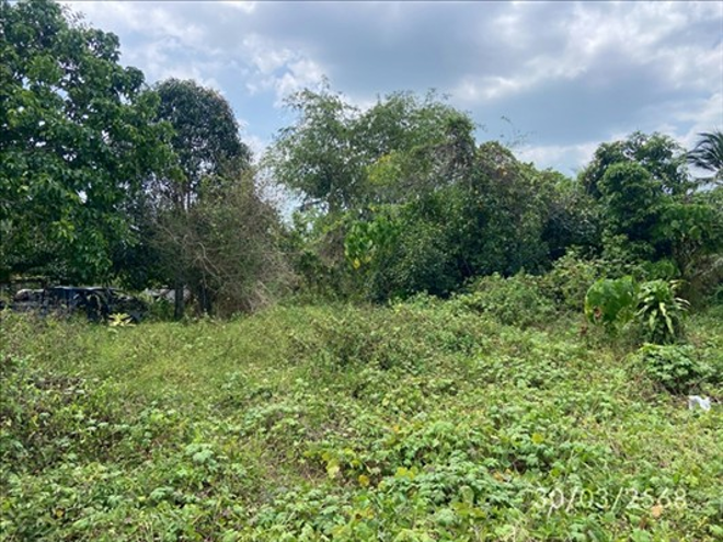 picture HOME 1374.9 Sq.w. Muang Satun Satun for 6.3M - 4/14