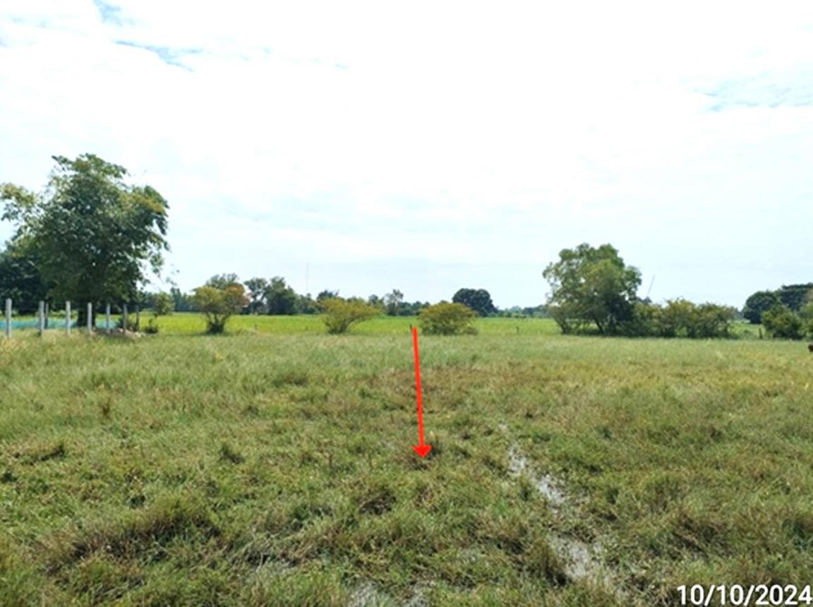 รูป ที่ดินว่างเปล่า 195.4 ตร.วา เมืองร้อยเอ็ด ร้อยเอ็ด 587,000 - รูปที่ 10/18