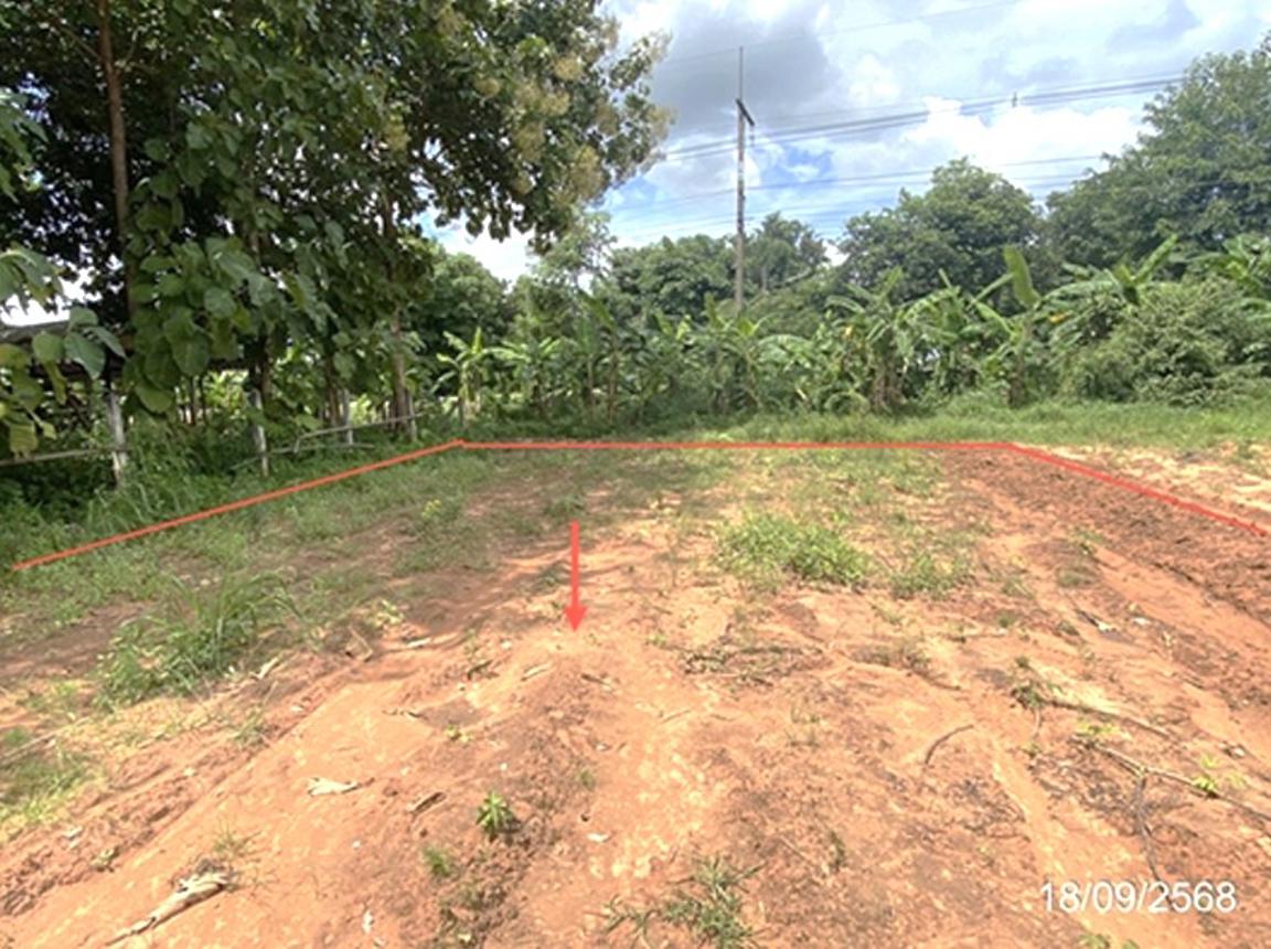 รูป ที่ดินว่างเปล่า 1400 ตร.วา สหัสขันธ์ กาฬสินธุ์ 1.8M - รูปที่ 11/16