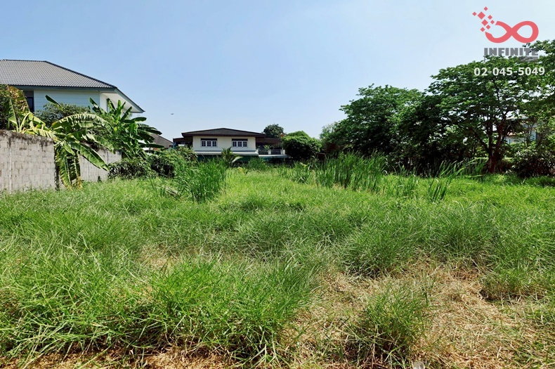 รูป ขายที่ดิน 100 ตรว. เกษตรนิเวศน์ 8 ถนนแจ้งวัฒนะ ซอยแจ้งวัฒนะ 14 ใกล้รถไฟฟ้าสีชมพู - รูปที่ 5/7