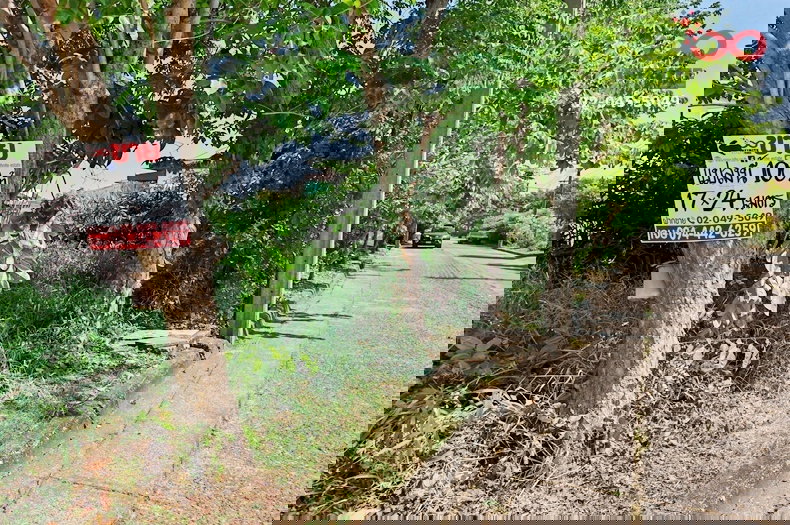 รูป ขายที่ดิน 100 ตรว. เกษตรนิเวศน์ 8 ถนนแจ้งวัฒนะ ซอยแจ้งวัฒนะ 14 ใกล้รถไฟฟ้าสีชมพู - รูปที่ 4/7