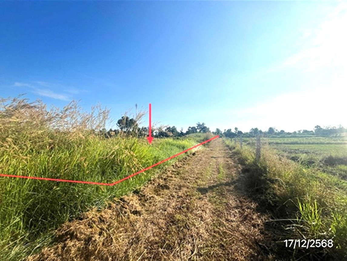 รูป ที่ดินว่างเปล่า 12171 ตร.วา เมืองสุโขทัย สุโขทัย 9.1M - รูปที่ 12/24