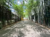 listing thumbnail image 41