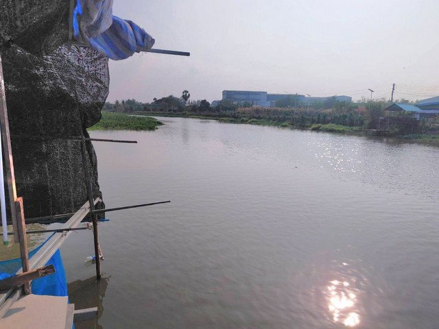 รูป ให้เช่าบ้านเดี่ยวชั้นเดียว รีโนเวทใหม่ อยู่ตำบลบางปลา อำเภอบางเลน นครปฐม - รูปที่ 3/8