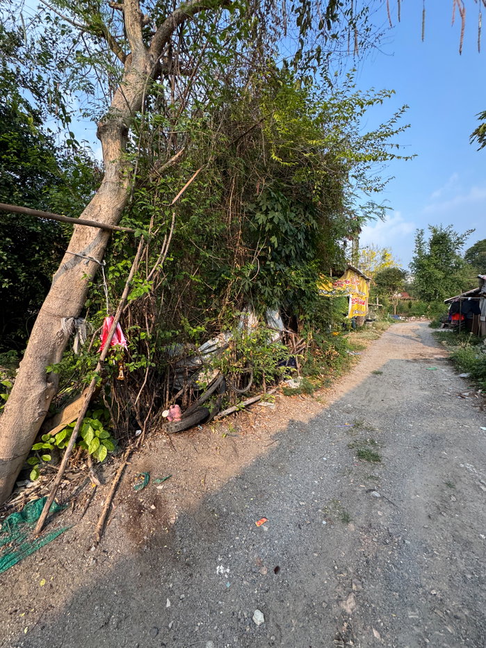 picture Land for Sale – Road Frontage & Riverfront View at Ayutthaya province  - 6/10