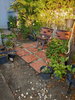 listing thumbnail image 21