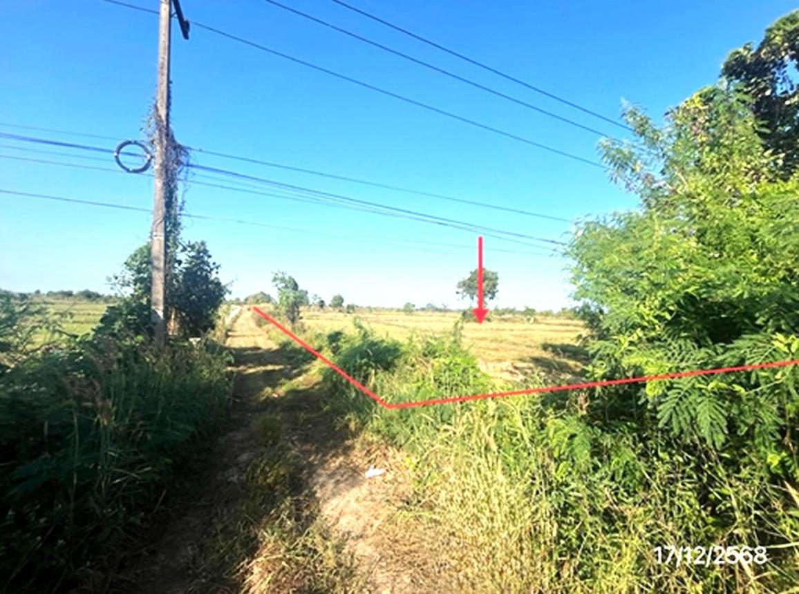 รูป ที่ดินว่างเปล่า 12171 ตร.วา เมืองสุโขทัย สุโขทัย 9.1M - รูปที่ 14/24