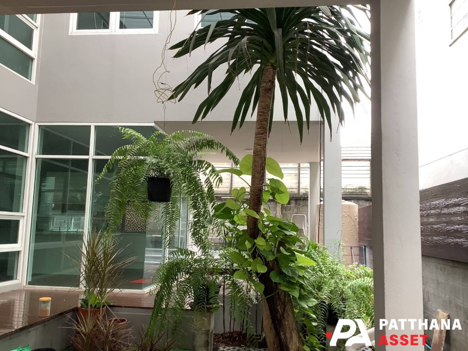 รูป บ้านเดี่ยว 3ชั้น 3ห้องนอน ให้เช่า ทำเลทองหล่อ สุขุมวิท49 ใกล้สมิติเวช เหมาะทั้งอยู่เองและ Home Office - รูปที่ 19/25