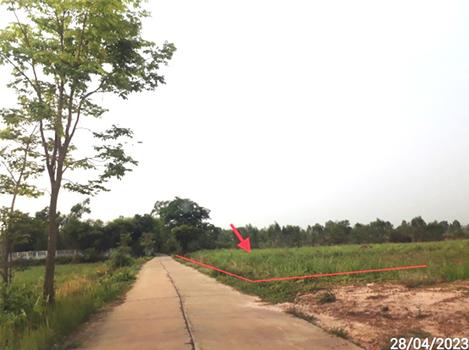picture LAND 5154 Sq.w. Phon Thong Roi Et for 3.9M - 13/16
