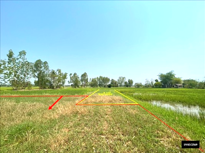 รูป ที่ดินว่างเปล่า 155 ตร.วา เมืองสกลนคร สกลนคร 675,000 - รูปที่ 2/14