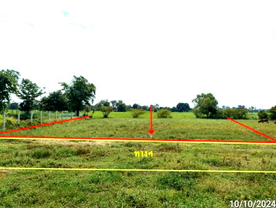 Land for sale Muang Roi Et Roi Et : LAND 195.4 Sq.w. Muang Roi Et Roi Et for 587,000