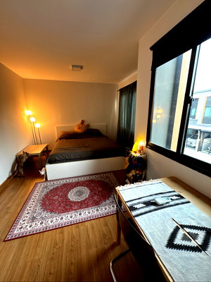 ทาวน์โฮมให้เช่า : ทาวน์โฮม 2 ชั้น Pleno town บางนา กม.24