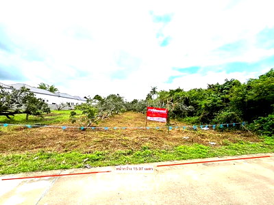 ที่ดิน ตำบลฟ้าฮ่าม : ที่ดินสำหรับปล่อยขาย 2,116 ตารางเมตร แถว ใกล้ เซ็นทรัล เฟสติวัล เชียงใหม่ (ID 2574918)