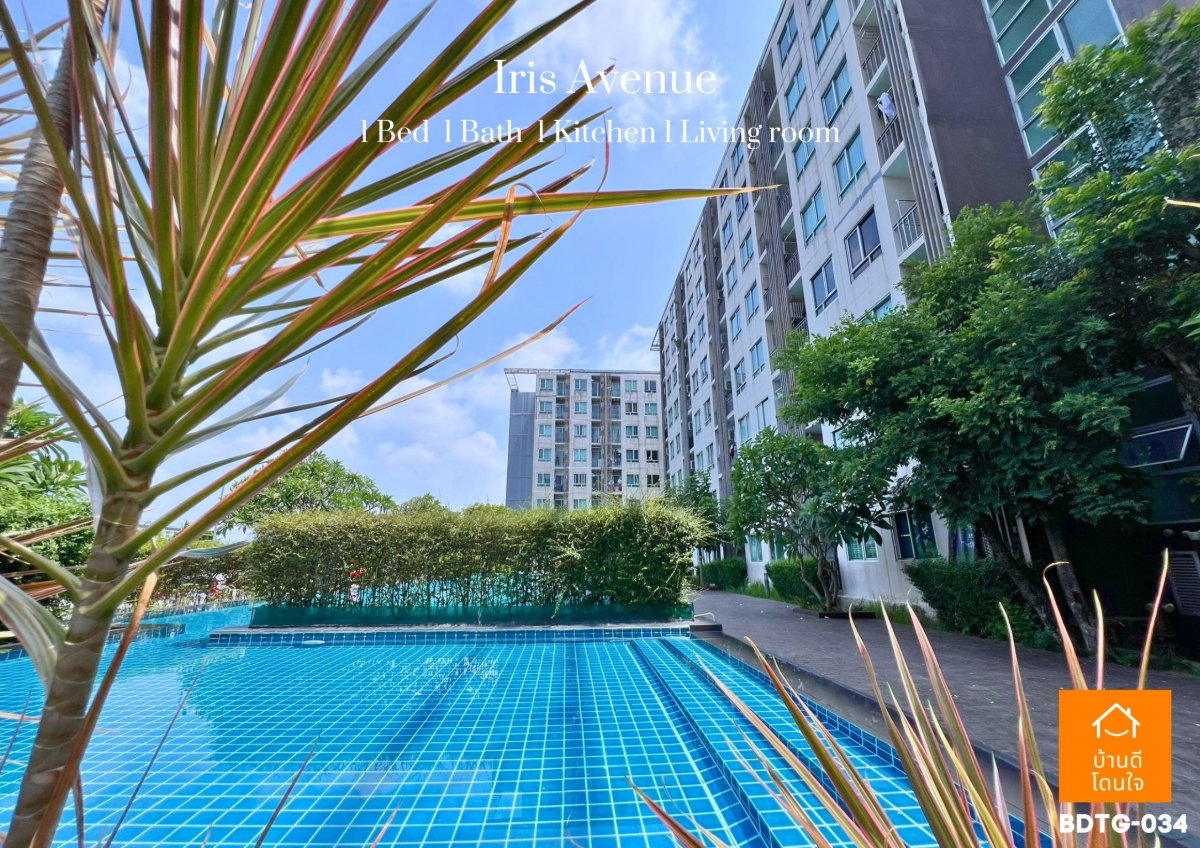 รูป ขายห้องมุม 🔥คอนโด ไอริส แอเวนิว 🔥ใกล้สุวรรณภูมิ นิคมอุตสาหกรรม พร้อมอยู่เอง และ ลงทุน ทัก @sariproperty 082-558-9459 - รูปที่ 2/18