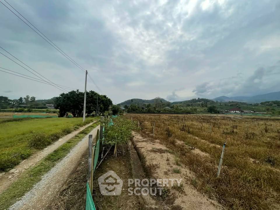 รูป ที่ดินสำหรับปล่อยขาย 9,600 ตารางเมตร แถว ใน ม่อนปิ่น (ID 2813456) - รูปที่ 5/9
