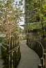 listing thumbnail image 31