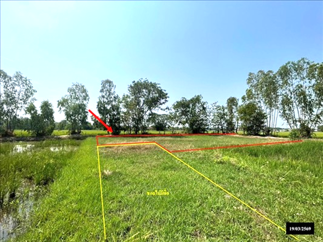 รูป ที่ดินว่างเปล่า 155 ตร.วา เมืองสกลนคร สกลนคร 675,000 - รูปที่ 3/14