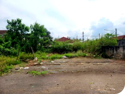 Land for sale ม.สงขลานครินทร์ วิทยาเขตสุราษฎร์ธานี : FOR SALE  LAND PROPERTY  4738000 BAHT.