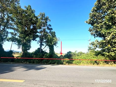 รูป ที่ดินว่างเปล่า 12171 ตร.วา เมืองสุโขทัย สุโขทัย 9.1M - รูปที่ 21/24