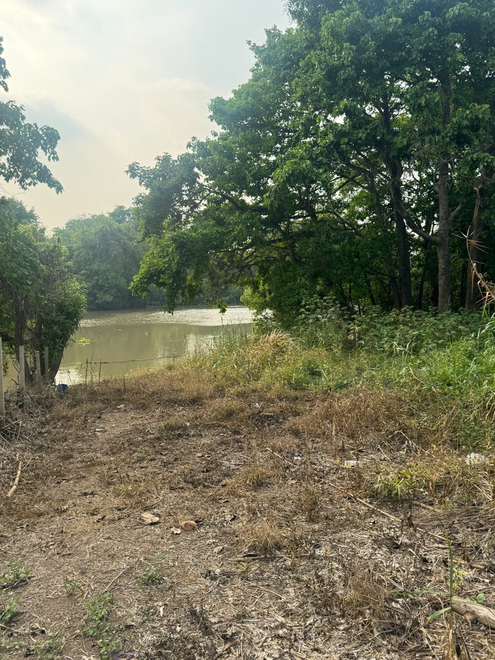 picture Land for Sale – Road Frontage & Riverfront View at Ayutthaya province  - 10/10